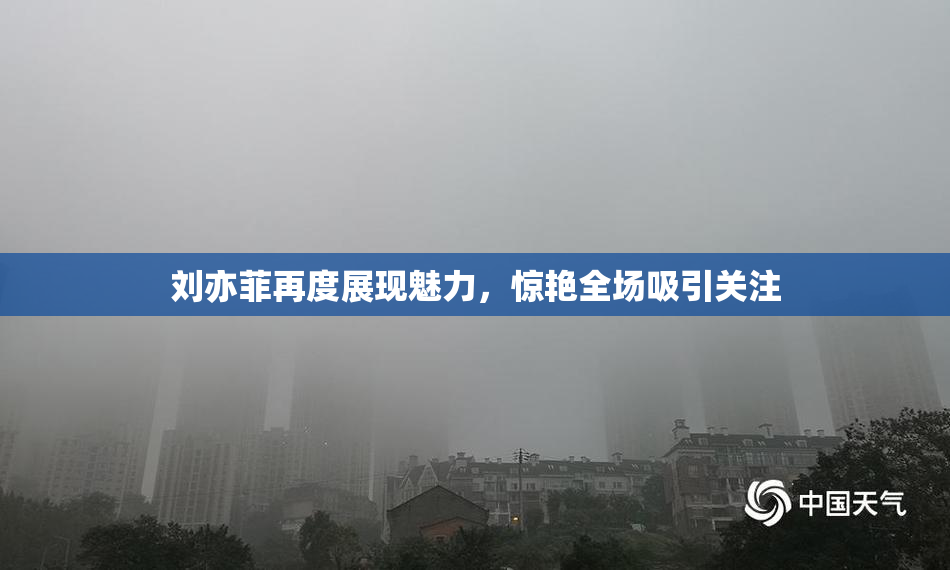 刘亦菲再度展现魅力，惊艳全场吸引关注