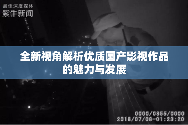 全新视角解析优质国产影视作品的魅力与发展