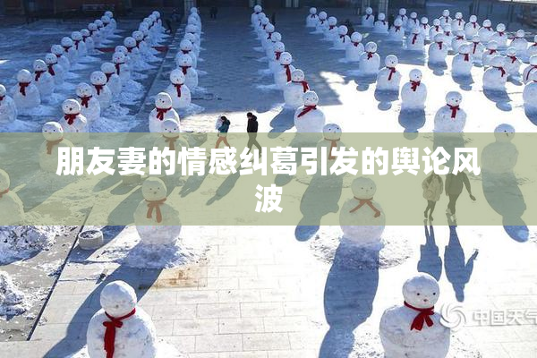 朋友妻的情感纠葛引发的舆论风波
