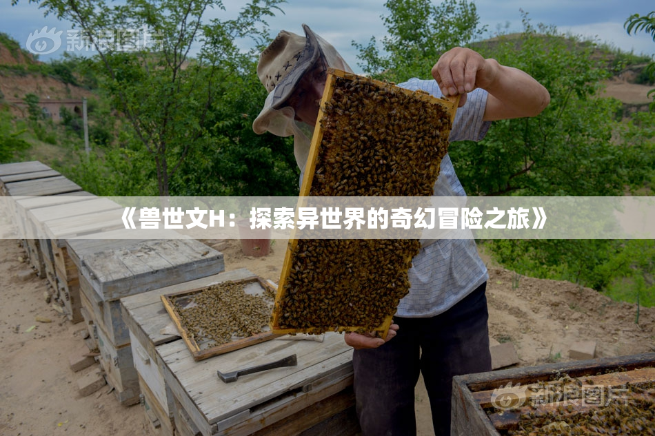 《兽世文H：探索异世界的奇幻冒险之旅》