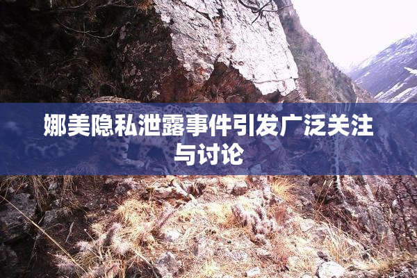 娜美隐私泄露事件引发广泛关注与讨论