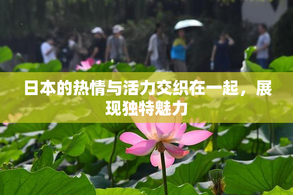 日本的热情与活力交织在一起，展现独特魅力