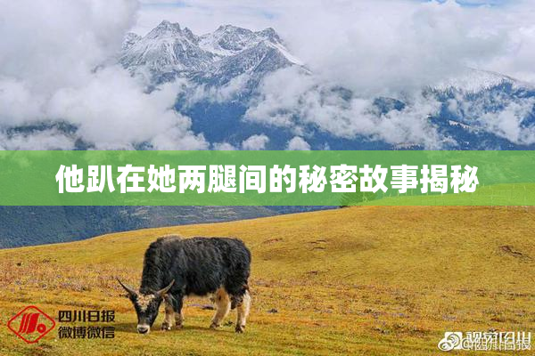 他趴在她两腿间的秘密故事揭秘