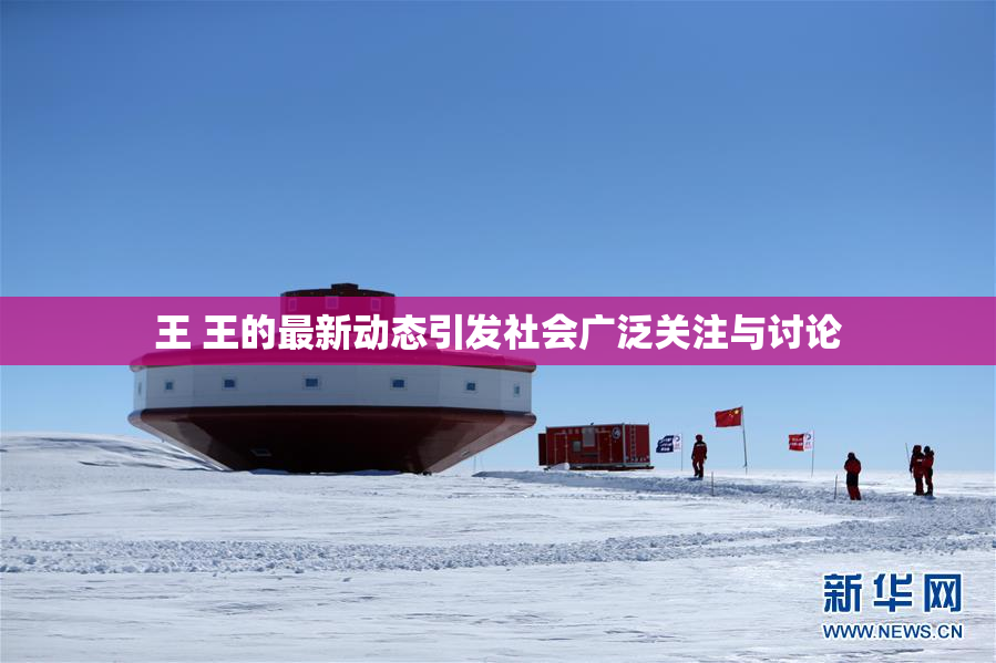 王 王的最新动态引发社会广泛关注与讨论