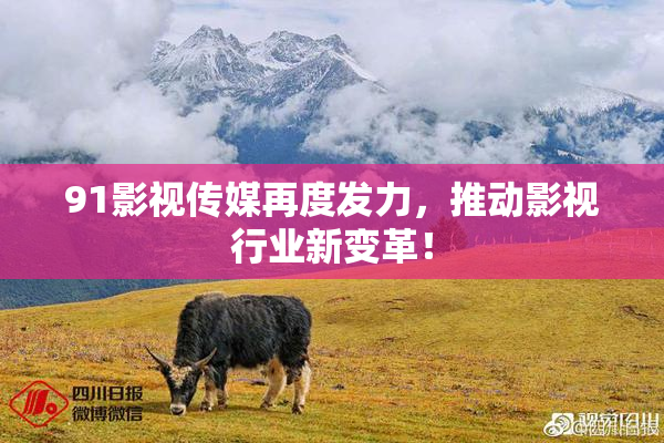 91影视传媒再度发力，推动影视行业新变革！