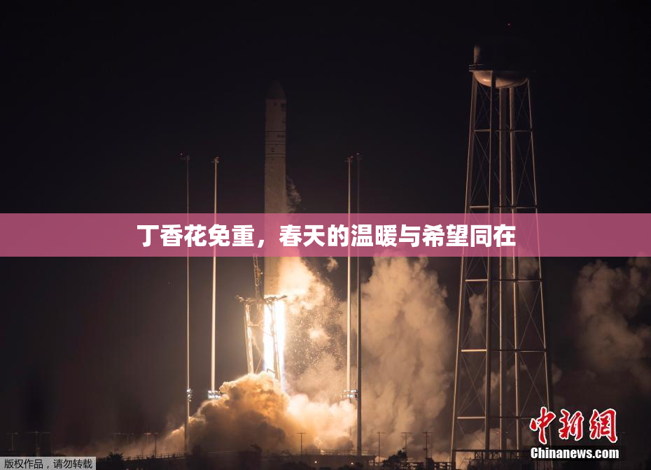 丁香花免重，春天的温暖与希望同在