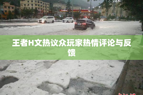 王者H文热议众玩家热情评论与反馈