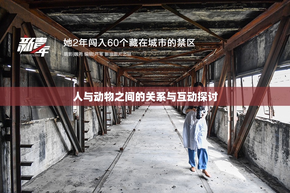人与动物之间的关系与互动探讨