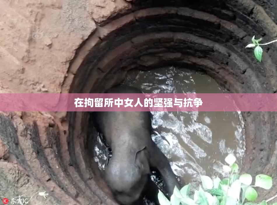 在拘留所中女人的坚强与抗争