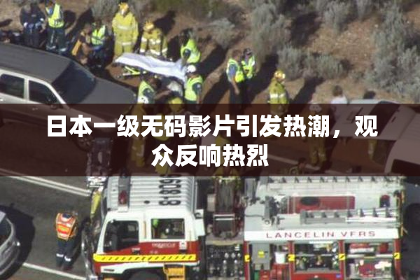 日本一级无码影片引发热潮，观众反响热烈