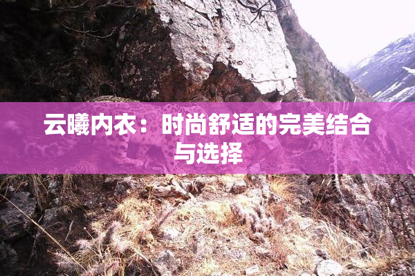 云曦内衣：时尚舒适的完美结合与选择