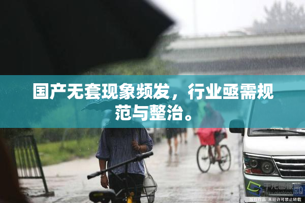 国产无套现象频发，行业亟需规范与整治。