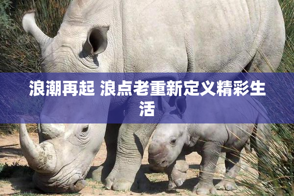浪潮再起 浪点老重新定义精彩生活