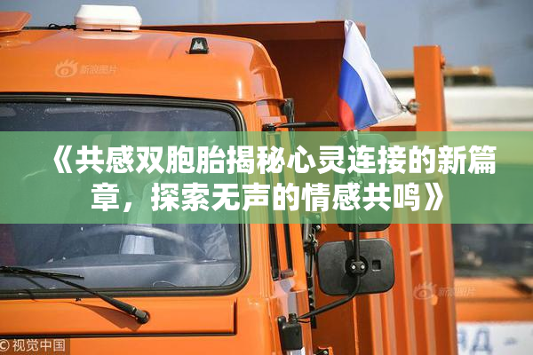 《共感双胞胎揭秘心灵连接的新篇章，探索无声的情感共鸣》