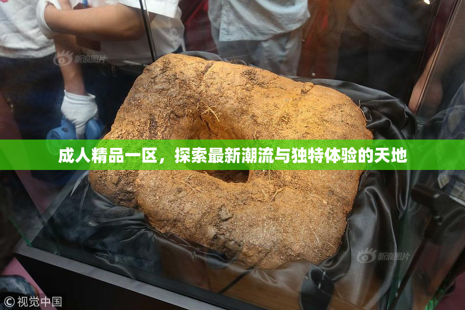成人精品一区，探索最新潮流与独特体验的天地