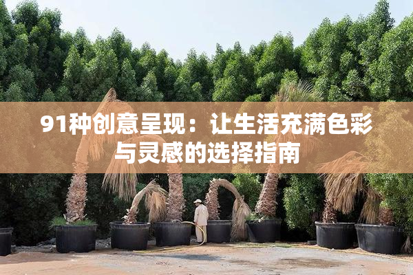 91种创意呈现：让生活充满色彩与灵感的选择指南