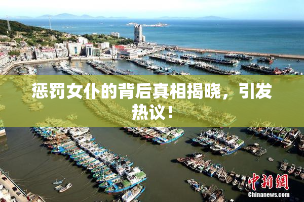 惩罚女仆的背后真相揭晓，引发热议！
