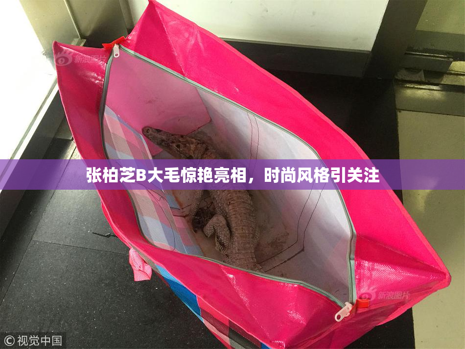 张柏芝B大毛惊艳亮相，时尚风格引关注