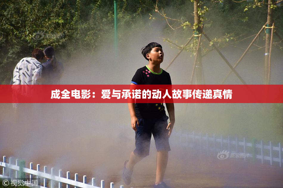 成全电影：爱与承诺的动人故事传递真情