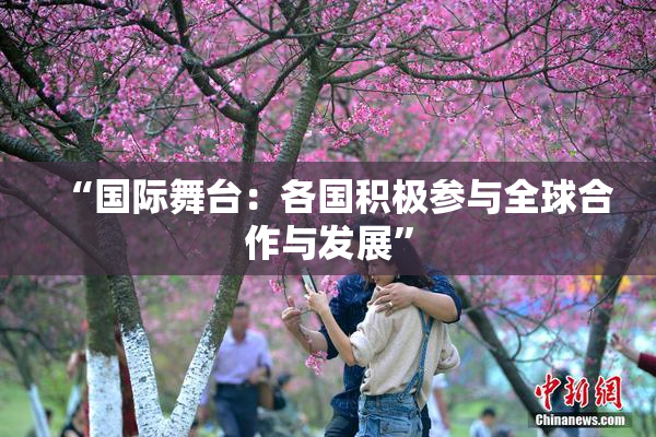 “国际舞台：各国积极参与全球合作与发展”