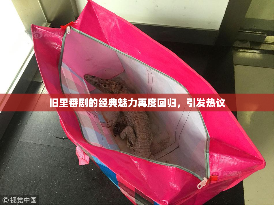 旧里番剧的经典魅力再度回归，引发热议