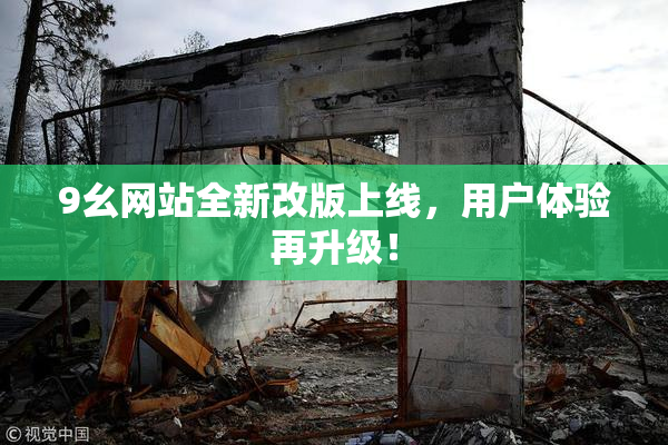 9幺网站全新改版上线，用户体验再升级！