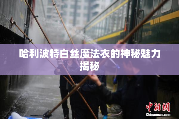 哈利波特白丝魔法衣的神秘魅力揭秘