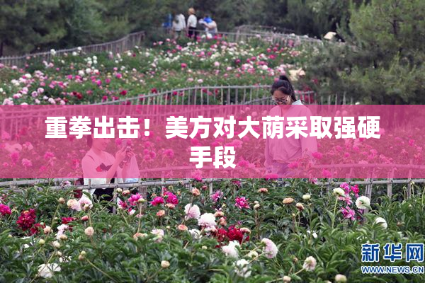 重拳出击！美方对大荫采取强硬手段