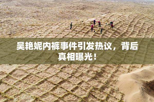 吴艳妮内裤事件引发热议，背后真相曝光！