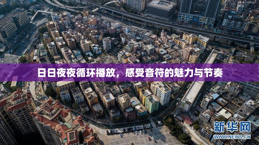 日日夜夜循环播放，感受音符的魅力与节奏