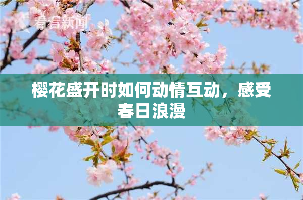 樱花盛开时如何动情互动，感受春日浪漫