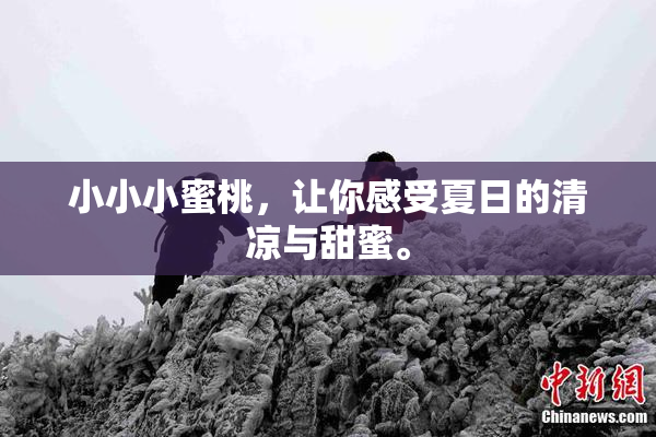 小小小蜜桃，让你感受夏日的清凉与甜蜜。