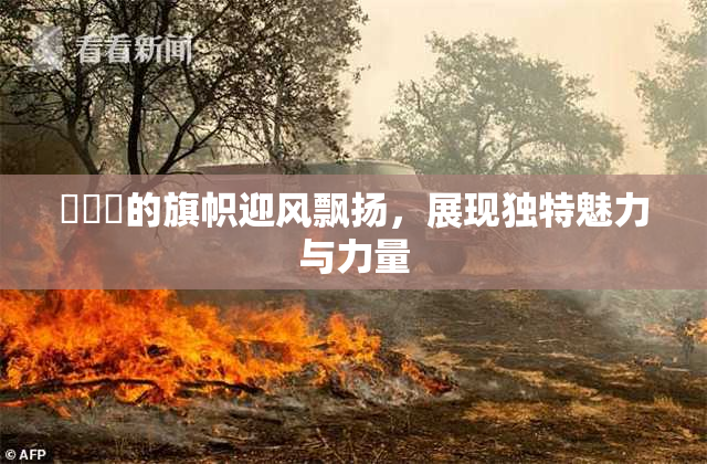 逹葢薾的旗帜迎风飘扬，展现独特魅力与力量