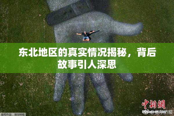 东北地区的真实情况揭秘，背后故事引人深思