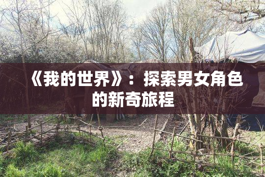 《我的世界》：探索男女角色的新奇旅程