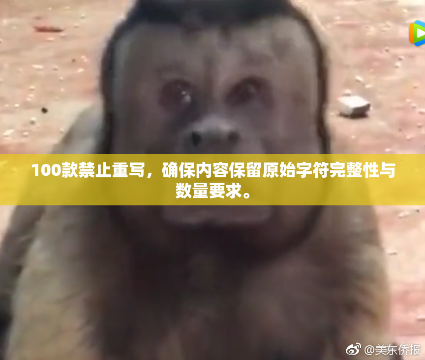100款禁止重写，确保内容保留原始字符完整性与数量要求。