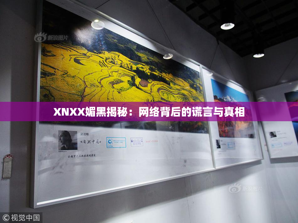 XNXX媚黑揭秘：网络背后的谎言与真相