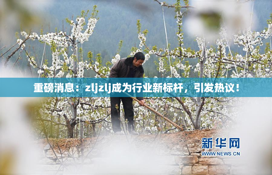 重磅消息：zljzlj成为行业新标杆，引发热议！