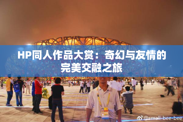 HP同人作品大赏：奇幻与友情的完美交融之旅