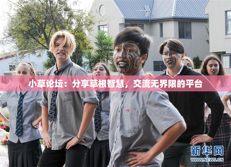 小草论坛：分享草根智慧，交流无界限的平台