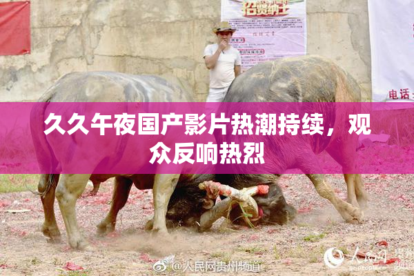 久久午夜国产影片热潮持续，观众反响热烈
