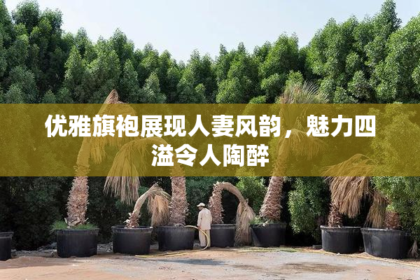 优雅旗袍展现人妻风韵，魅力四溢令人陶醉