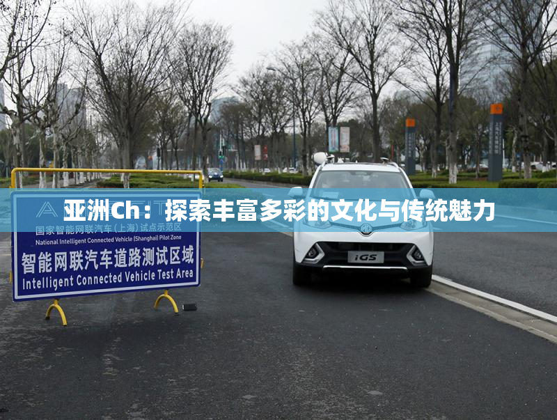 亚洲Ch：探索丰富多彩的文化与传统魅力
