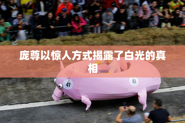 庞尊以惊人方式揭露了白光的真相