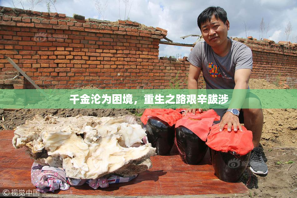 千金沦为困境，重生之路艰辛跋涉