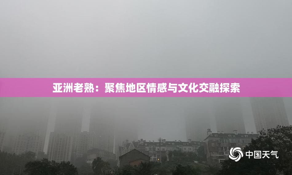 亚洲老熟：聚焦地区情感与文化交融探索