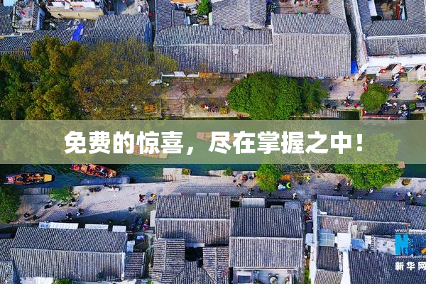 免费的惊喜，尽在掌握之中！