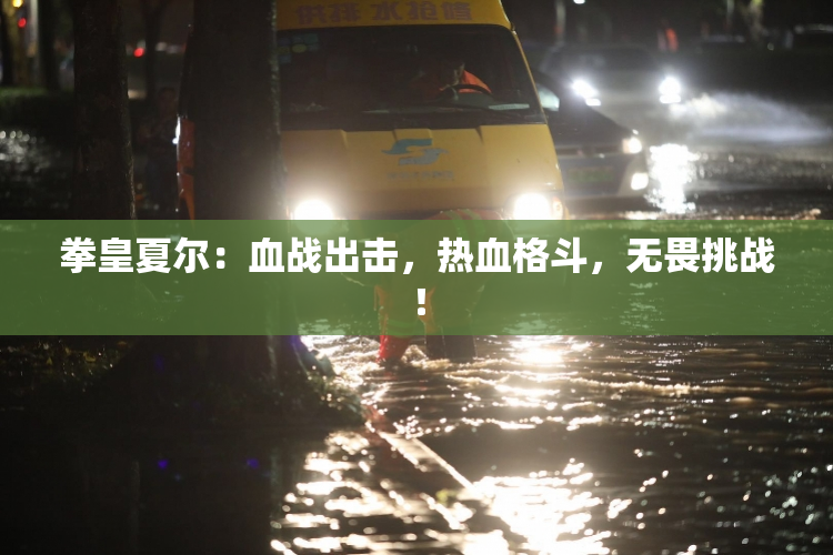 拳皇夏尔：血战出击，热血格斗，无畏挑战！