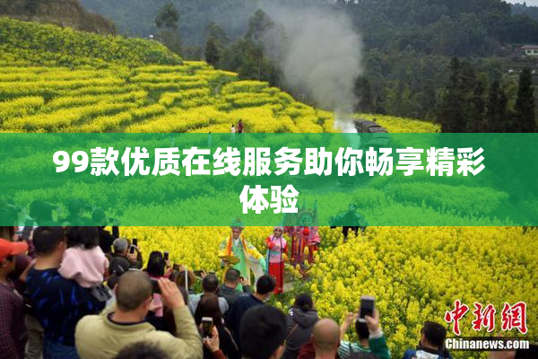 99款优质在线服务助你畅享精彩体验