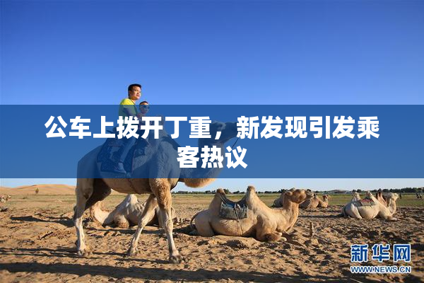 公车上拨开丁重，新发现引发乘客热议